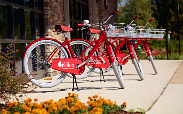 Hotel Indigo Tuscaloosa Downtown by IHG