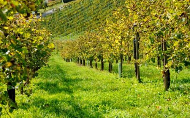Zirngast Weingut-Buschenschank-Gästezimmer