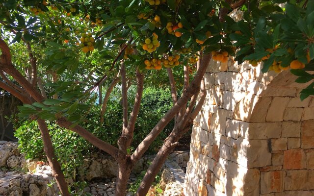Emma's Villa facing the sea with swimming pool