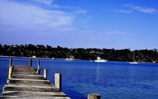 Beachcomber Pet Friendly