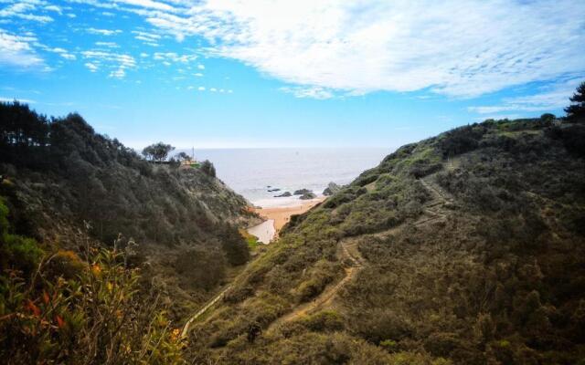 Departamento en Algarrobo Norte