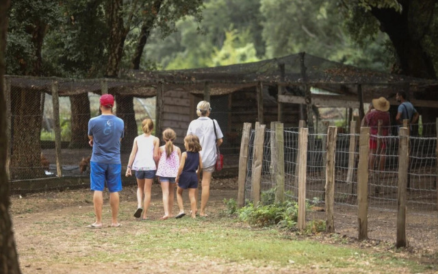 Le Rendez-vous de l'Été