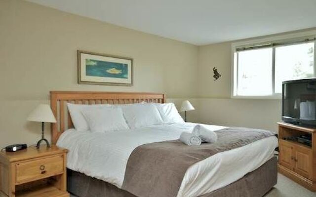 Timberline Lodge - Silver