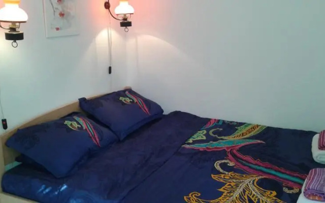 Apartment Garden House