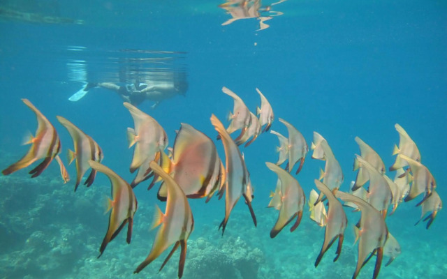 Punta Bulata Resort & Spa