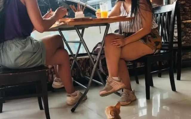 Zhangjiajie Tongfu inn