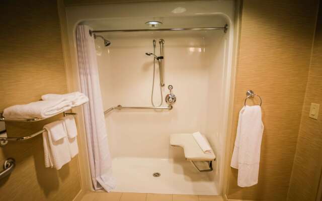 Hilton St. Petersburg Carillon Park