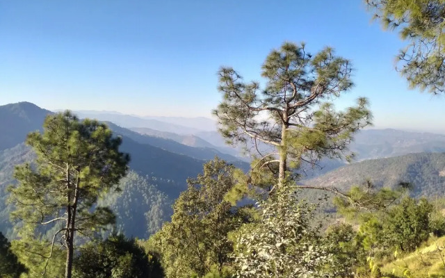 Binsar View Homestay