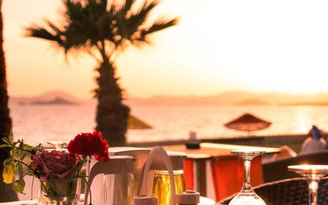 Bahar Hotel (+12 Adult )