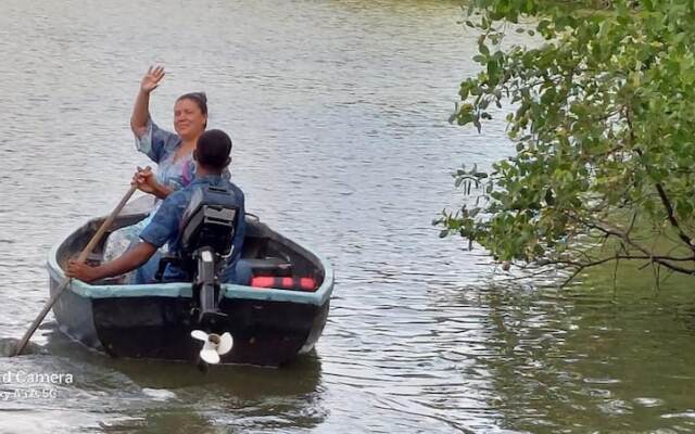 Morning Guest can see Momkeyies and Birds