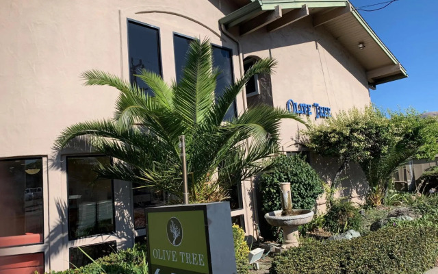 Olive Tree inn & Suites