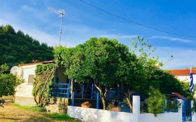 Irene's House, House in the nature
