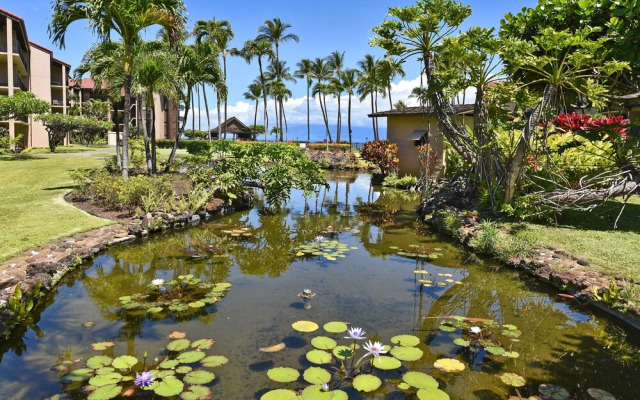 Papakea J107 1 Bedroom Condo