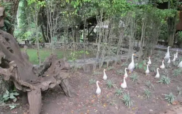 Mam's Village