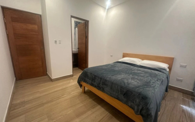 Wide Mouth Frog At Quepos