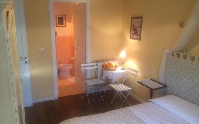 B&B Xenia