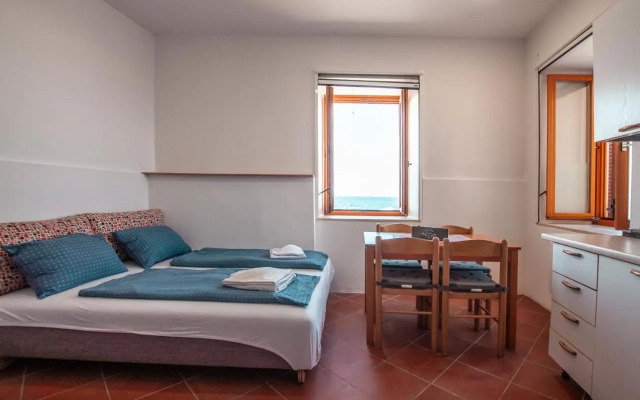 Apartments Punta