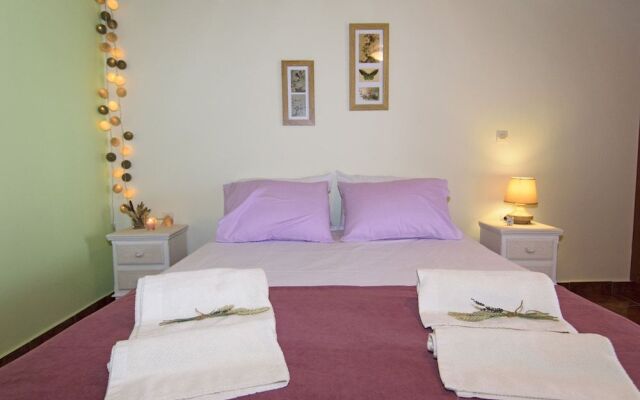 Aoria Traditional House