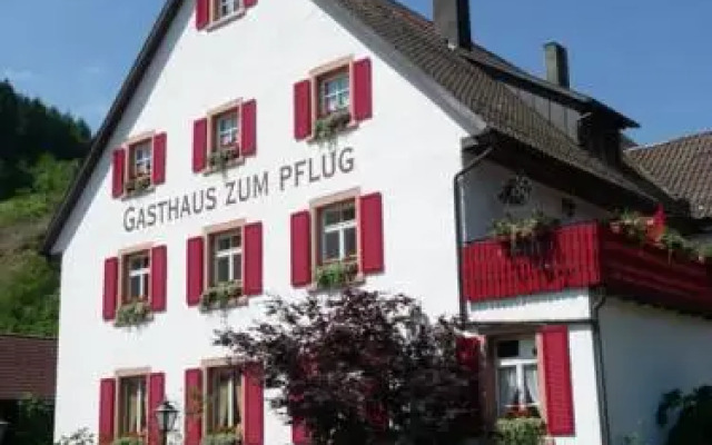 Gasthof zum Pflug
