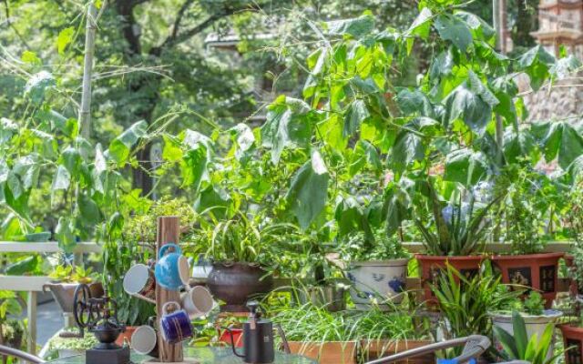 Nanjing Tulou Xinyuan Inn