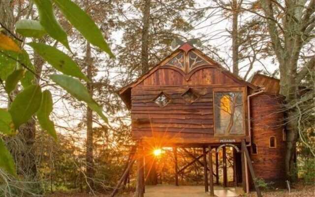 Sycamore Avenue Treehouses