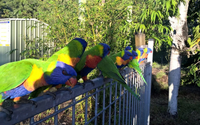 Magnetic Island Bed And Breakfast