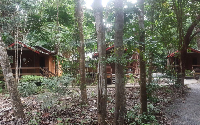 Cape Tribulation Beach House