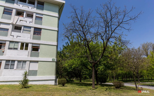 Pasteleira Relaxing Apartment