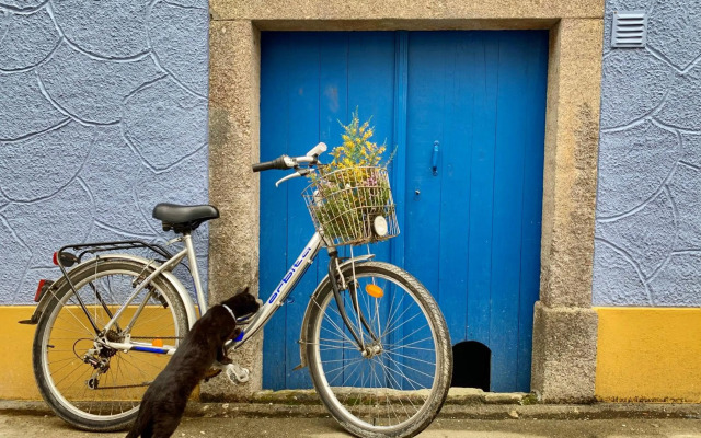 Casa do Paço Aveiro HolidayHome