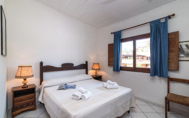 Trilo Super Standard 205 Ginepro