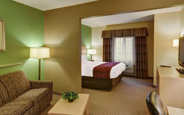 Comfort Suites Lindale - Tyler North