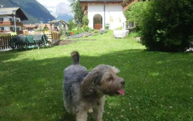 Apartments Residence Montana