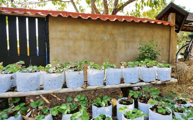 NIDA Rooms Vieng Tha Kan 1112 Garden