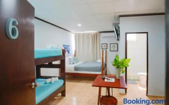 Wild Flowers Boquerón Rooms