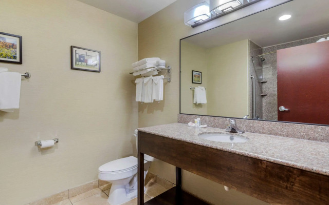 Comfort Suites Pflugerville - Austin North