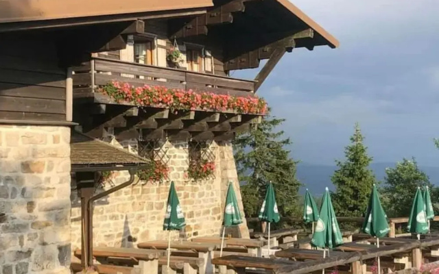 Nice Apartment in Piedmont