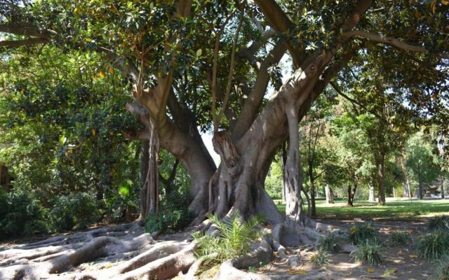 Atelier - House in Belém