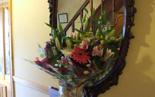 O'Sheas Ceol Na Habhann B&B
