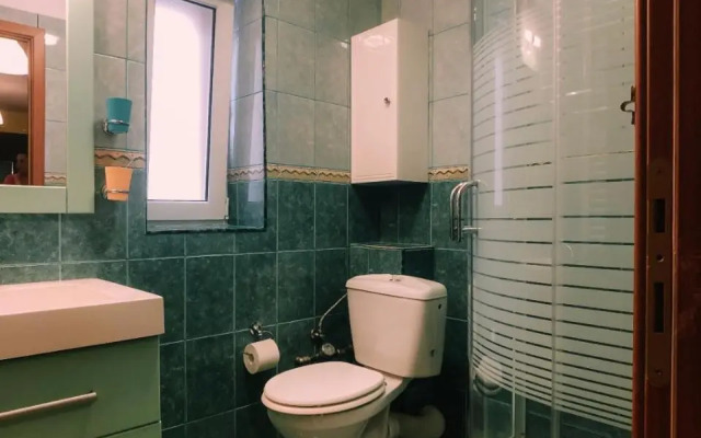 Spacious Apartment near Peles