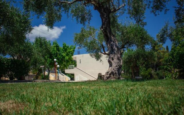 Kalypso studio Resorts