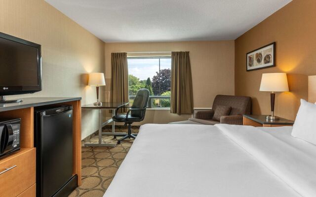 Comfort Inn Highway 401