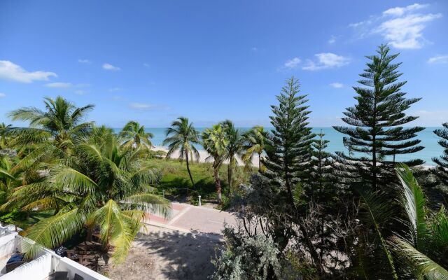 Castle Beach Club Apartments