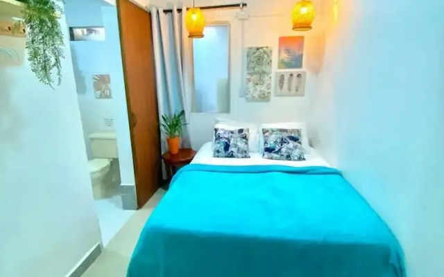 Spring Hostel