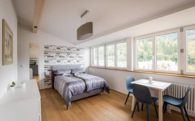 Moderne Apartments im stilvollen Altbau