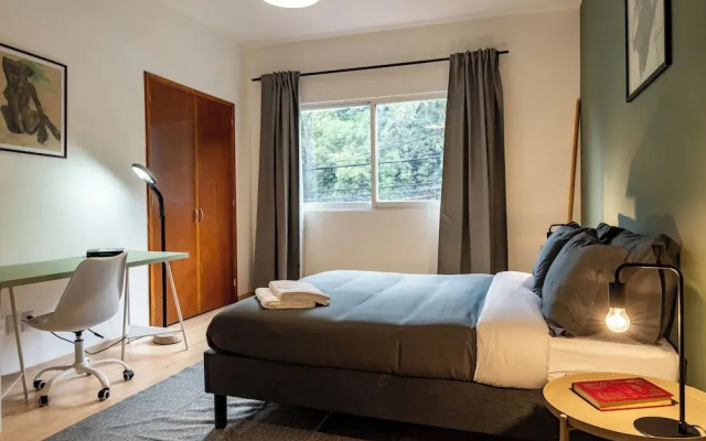 3Bdr Modern Apt Mexico City Chapultepec