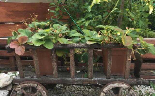 Balatonkenesei Nádfedeles Lovas Vendégház