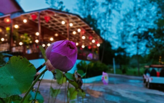 DG Royal Resort