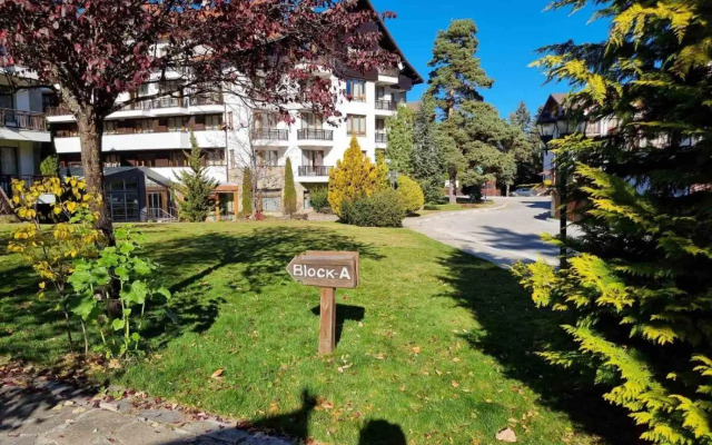 Borovets Semiramida A16