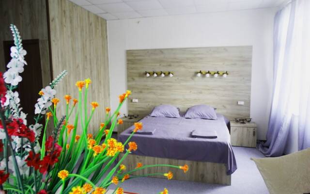 Hotel David