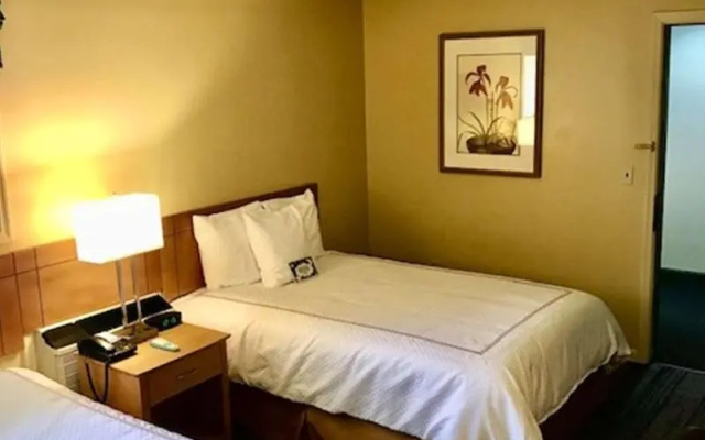 Best Western Plus Inn & Suites